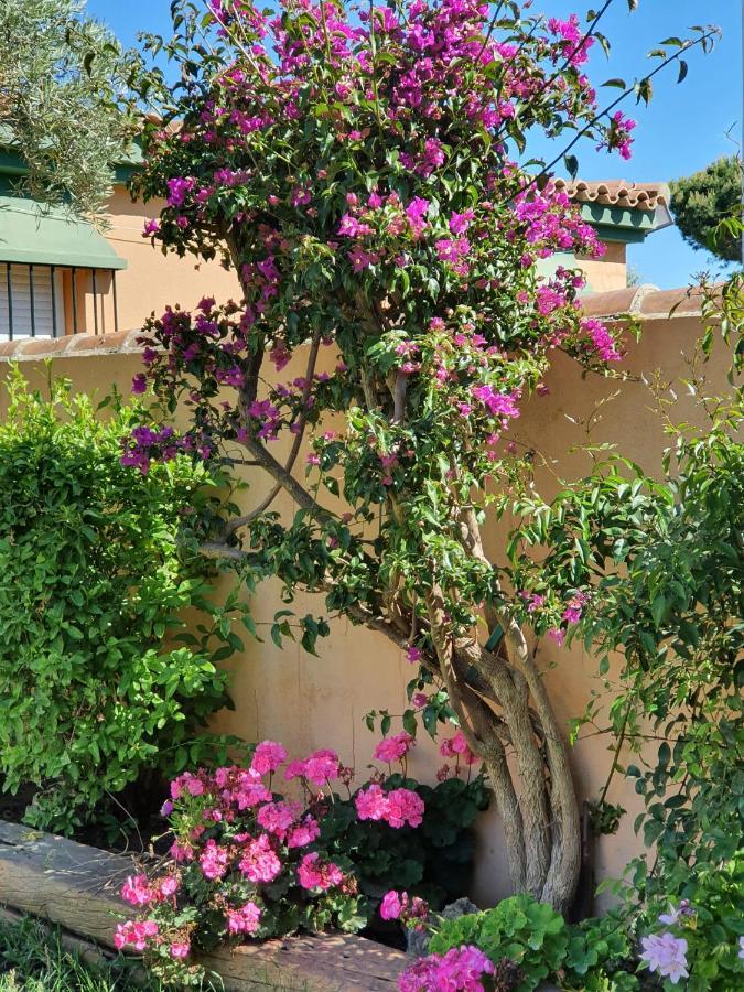 Villa Ostrero Chiclana de la Frontera Ngoại thất bức ảnh